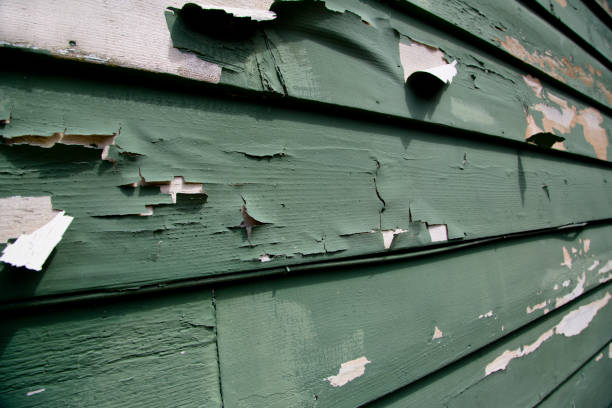 Best Siding Maintenance  in Sibley, LA