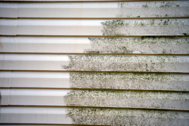 Best Insulated Siding Installation  in Sibley, LA