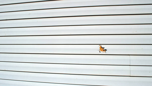 Best Storm Damage Siding Repair  in Sibley, LA