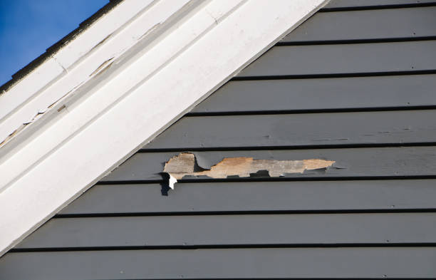 Best Brick Veneer Siding  in Sibley, LA